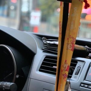 Meet your Posher, Brenda